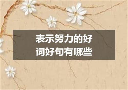 表示努力的好词好句有哪些
