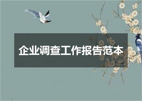 企业调查工作报告范本