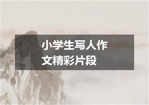 小学生写人作文精彩片段