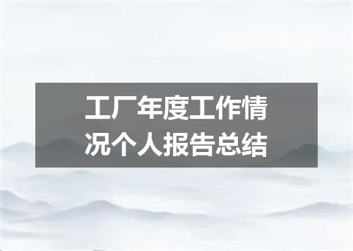 工厂年度工作情况个人报告总结