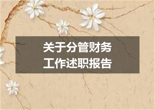 关于分管财务工作述职报告