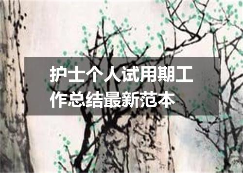 护士个人试用期工作总结最新范本