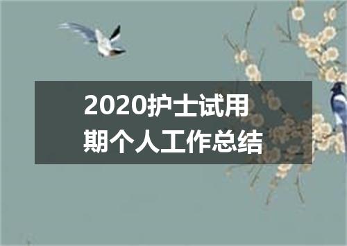 2020护士试用期个人工作总结