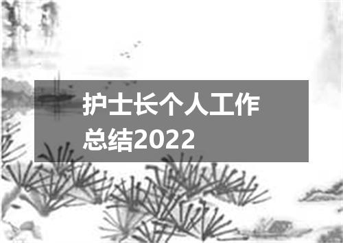 护士长个人工作总结2022