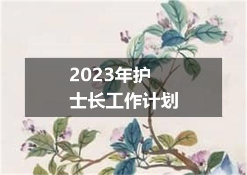 2023年护士长工作计划