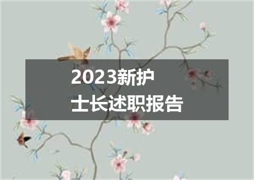 2023新护士长述职报告