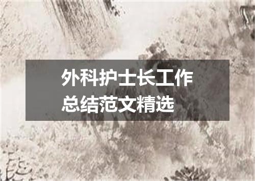 外科护士长工作总结范文精选
