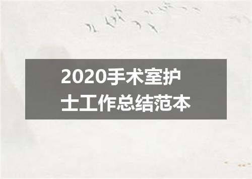 2020手术室护士工作总结范本