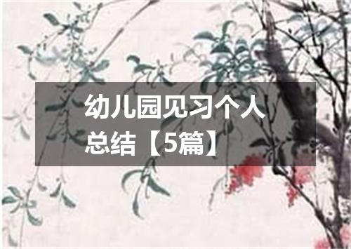 幼儿园见习个人总结【5篇】