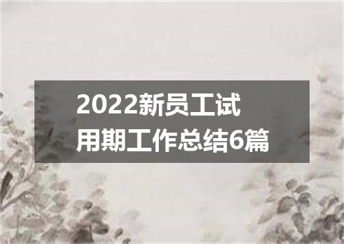 2022新员工试用期工作总结6篇