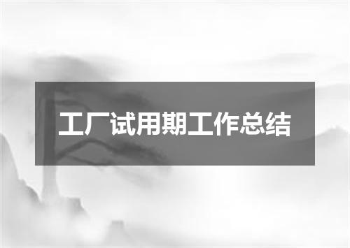 工厂试用期工作总结