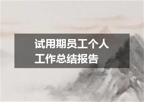 试用期员工个人工作总结报告