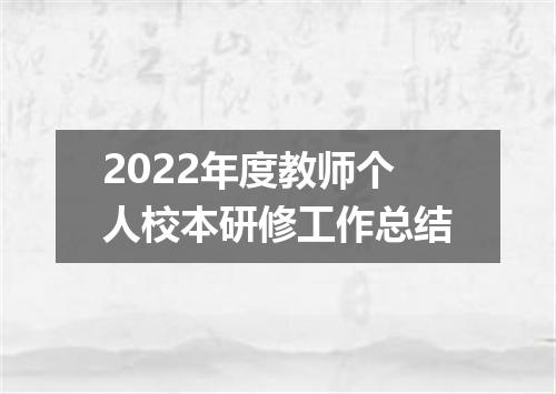 2022年度教师个人校本研修工作总结