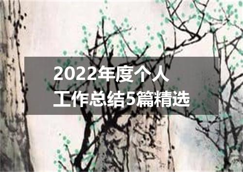 2022年度个人工作总结5篇精选