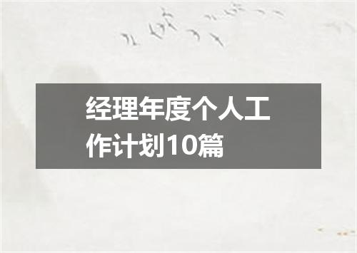 经理年度个人工作计划10篇