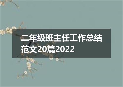 二年级班主任工作总结范文20篇2022