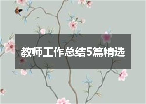 教师工作总结5篇精选