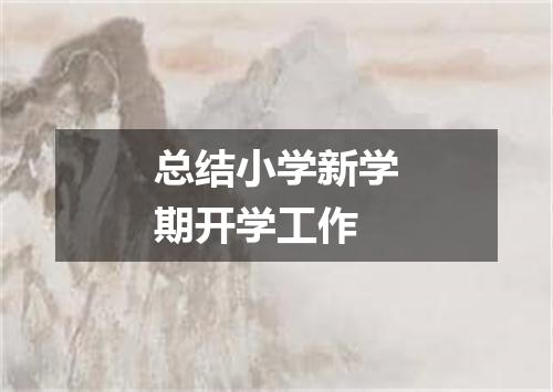 总结小学新学期开学工作