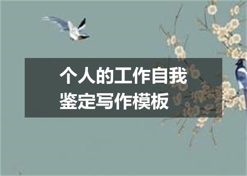 个人的工作自我鉴定写作模板