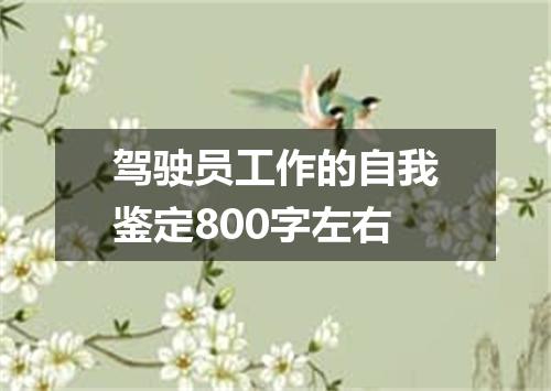 驾驶员工作的自我鉴定800字左右