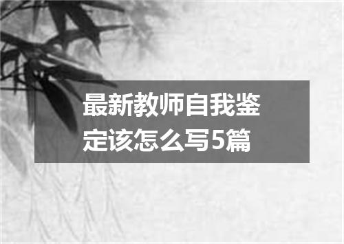 最新教师自我鉴定该怎么写5篇