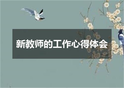 新教师的工作心得体会