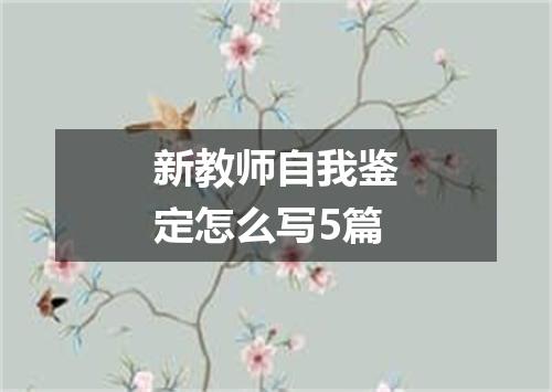 新教师自我鉴定怎么写5篇