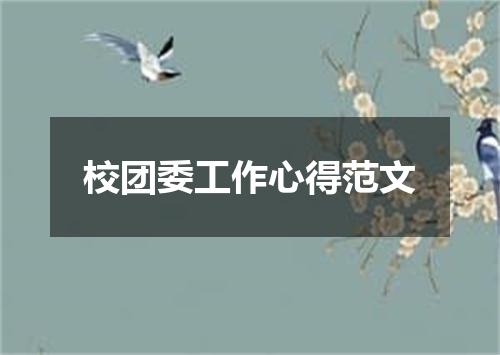 校团委工作心得范文