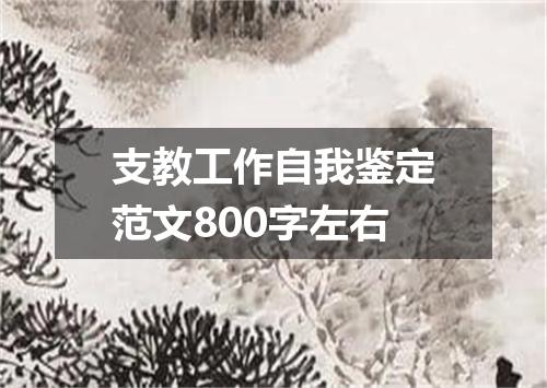 支教工作自我鉴定范文800字左右