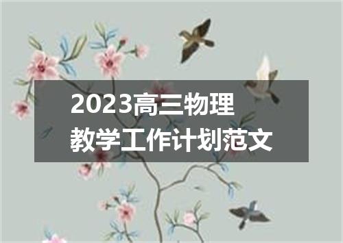 2023高三物理教学工作计划范文