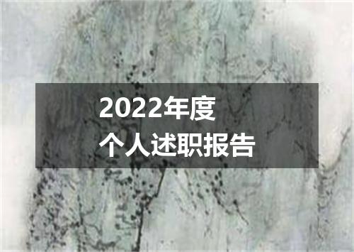 2022年度个人述职报告