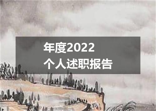 年度2022个人述职报告