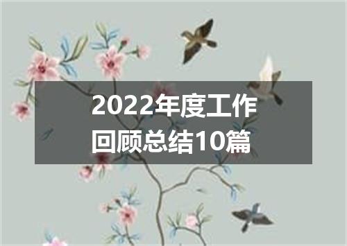 2022年度工作回顾总结10篇