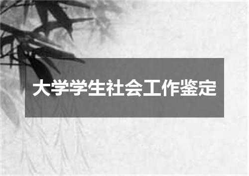 大学学生社会工作鉴定