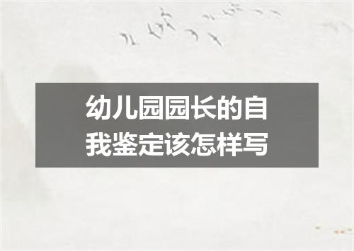 幼儿园园长的自我鉴定该怎样写
