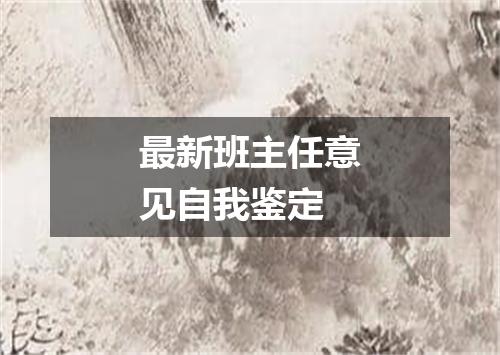最新班主任意见自我鉴定