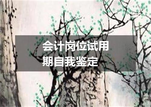 会计岗位试用期自我鉴定