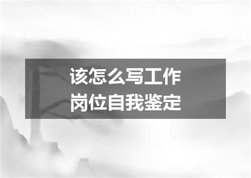 该怎么写工作岗位自我鉴定