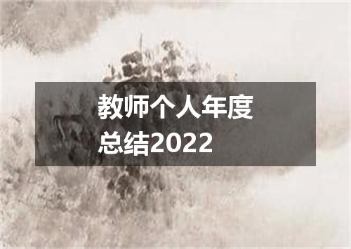 教师个人年度总结2022
