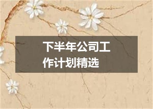 下半年公司工作计划精选