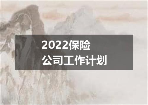 2022保险公司工作计划