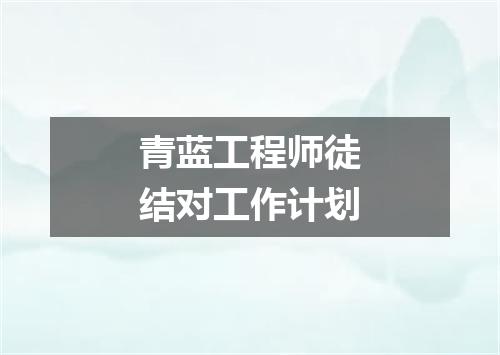 青蓝工程师徒结对工作计划