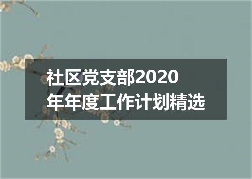 社区党支部2020年年度工作计划精选