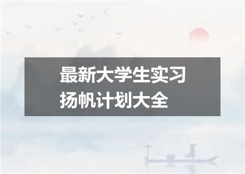 最新大学生实习扬帆计划大全