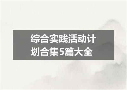 综合实践活动计划合集5篇大全