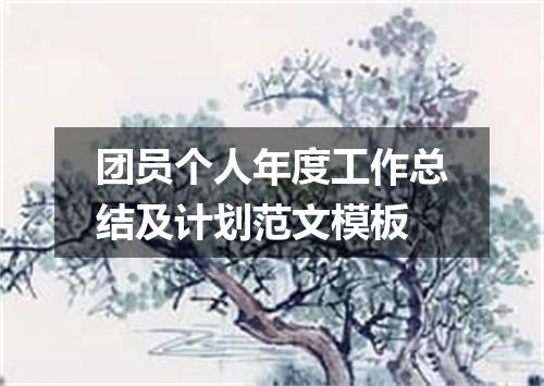 团员个人年度工作总结及计划范文模板
