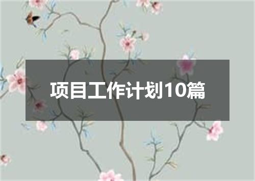 项目工作计划10篇
