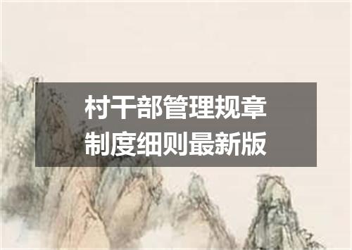村干部管理规章制度细则最新版