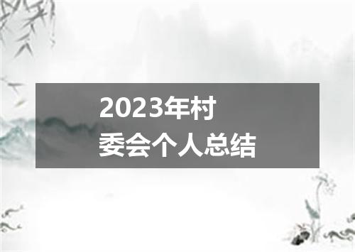 2023年村委会个人总结