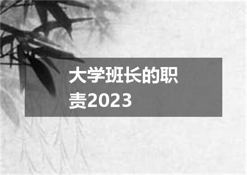 大学班长的职责2023